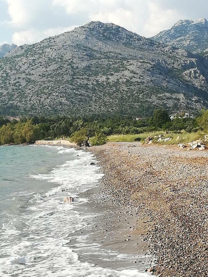 Apartments Veni Up Starigrad Exterior photo